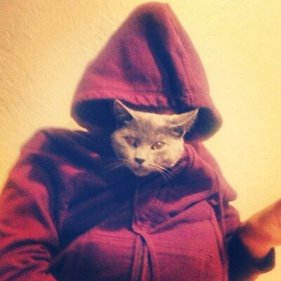 Bella - Twitter Profile Picture of Bella (@Bellasilvers) on Twitter