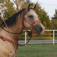 Profile Picture of Vicki Bartelt (@vicki-bartelt-2) on Quora