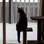Profile Picture of Margo Gibson (@margo4056) on Instagram