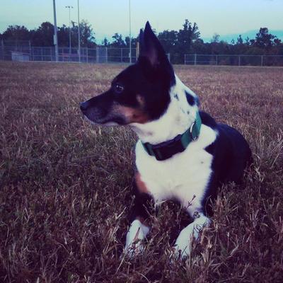 Profile Picture of Eric Kirkman (@KirkmanEric) on Twitter