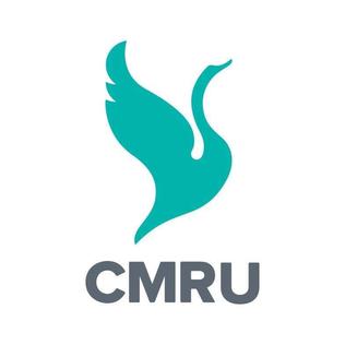 Profile Picture of CMR Universityon Wikipedia
