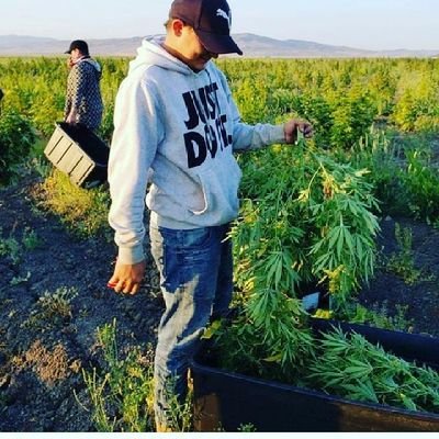 Profile Picture of Noel Ramos (@NoelRam82434204) on Twitter