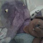 Profile Picture of stacey (@stacey_monkey66) on Instagram
