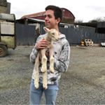 Profile Picture of Nick Bailey (@nicklaus_daws) on Instagram