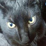 Profile Picture of Jeffrey Jansen (@jeffrey_jansen) on Instagram