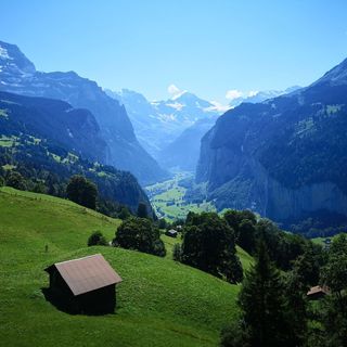 Profile Picture of Zhiyuan Liu (@zhiyual9) on Instagram