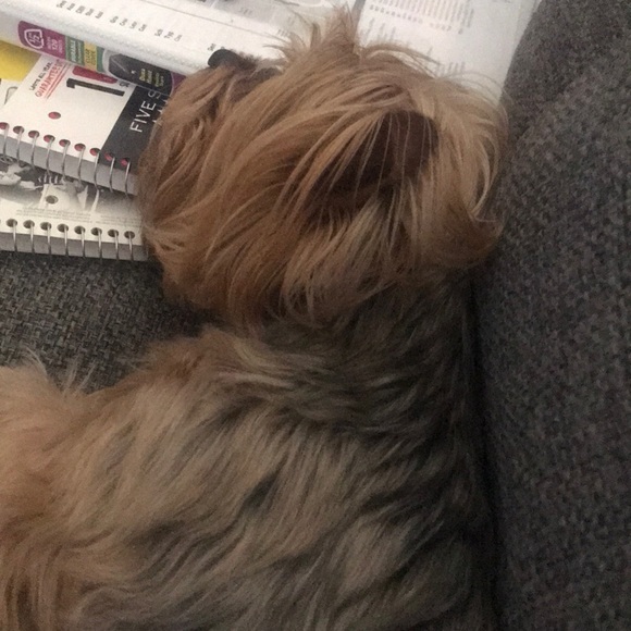 Profile Picture of David Rodriguez (@david4628) on Poshmark