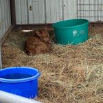 Profile Picture of Tommy stracener (@tommys30) on Instagram