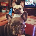 Profile Picture of Reggie & Ronnie Adams (@reggie_and_ronnie_adams) on Instagram