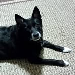 Profile Picture of Michael Lacorazza (@michael.lacorazza) on Facebook