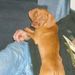 Profile Picture of Bonnie Lemon Reigel (@betsyjr49) on Pinterest
