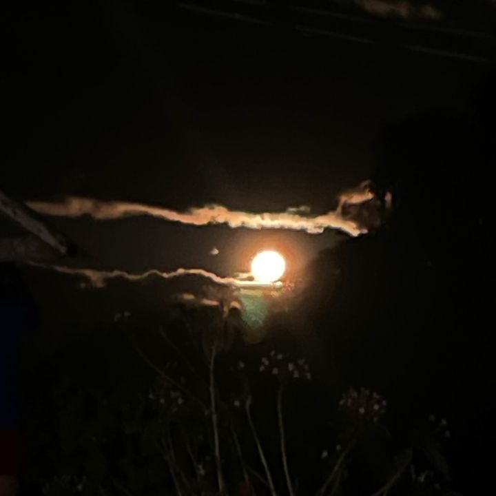 Profile Picture of Jeffrey Morla (@jeffrey.morla) on Tiktok