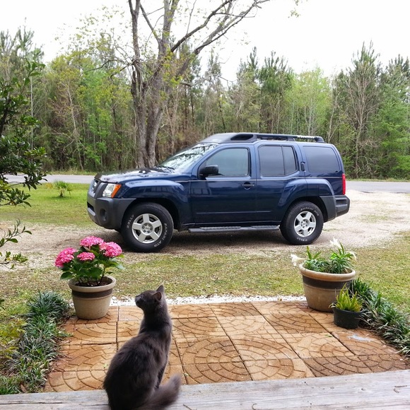 Profile Picture of Stephanie Belken (@reesbelken) on Poshmark