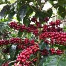 Profile Picture of Joe Reiser (@reiserjoe) on Pinterest