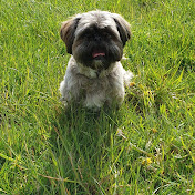 Profile Picture of Jacob Chapman (@jacobchapman3758) on Youtube