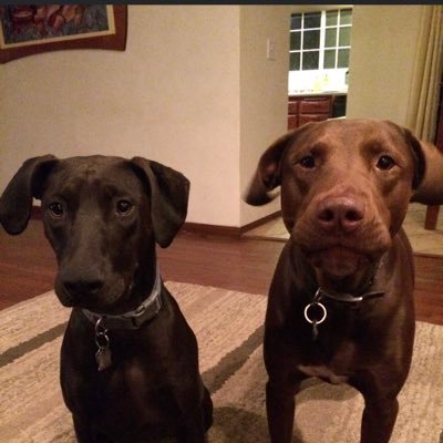 Profile Picture of Mark Gottlieb (@markjgottlieb) on Twitter