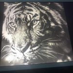 Profile Picture of Ray Mark Mcfarlane (@mcfarlane.ray) on Instagram