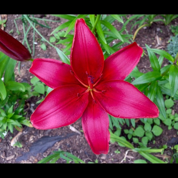 Profile Picture of Joshua Whitt (@jbwhitt) on Poshmark