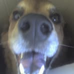 Joe Blickhan - Facebook Profile Picture of Joe Blickhan (@joe.blickhan) on Facebook