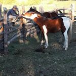 Profile Picture of bruno😇 (@bruno__rivera23) on Instagram