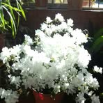 Profile Picture of Norma Yolanda Cherniz (@normayolanda.cherniz) on Facebook