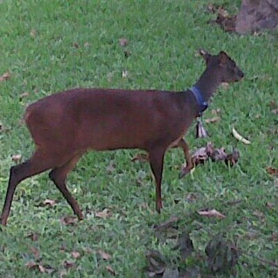 David E Ixel Saca - Twitter Profile Picture of David E Ixel Saca (@dsacagon) on Twitter