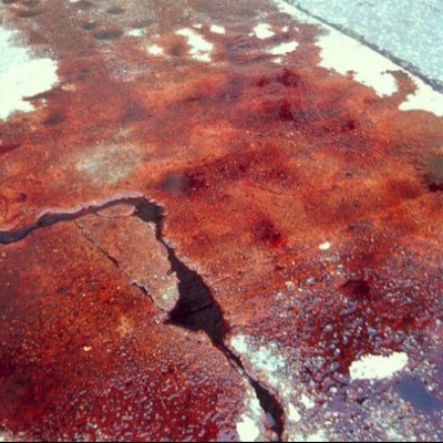 Profile Picture of Transient Crust Punk With Dog (@LeMarcelEvans) on Twitter