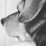 joshuawinans - Instagram Profile Picture of joshuawinans (@josh41002) on Instagram