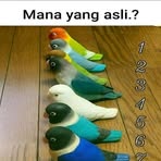 Profile Picture of Saba Mananti (@Saba-Mananti) on Facebook