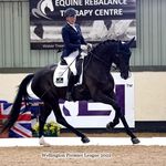 Profile Picture of Mandy Day Dressage (@mandydaydressage) on Instagram