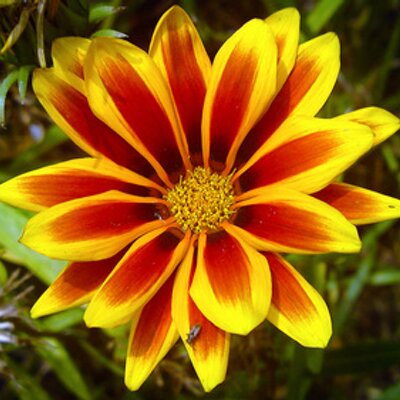 Profile Picture of Miriam Baxter (@miriam_baxter) on Twitter