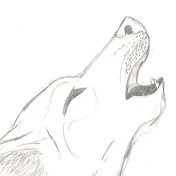 Profile Picture of Debbie Dolan (@DLDVideoProductions) on Youtube