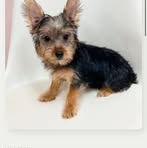 Profile Picture of Tristan Newman (@tristan.newman.451205) on Facebook