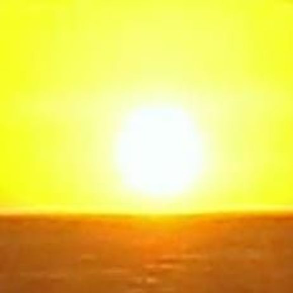 Profile Picture of Shelly Kenealy (@skenealy6) on Poshmark