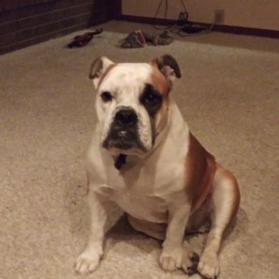 Profile Picture of Michael Stillwagon (@MichaelStillwa4) on Twitter