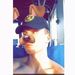Profile Picture of Joey Mombrea (@jmombrea) on Pinterest