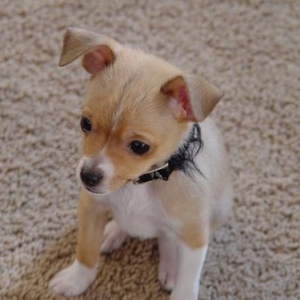 Christopher Mariano - Myspace Profile Picture of Christopher Mariano (@ceeemonay) on Myspace