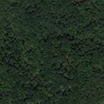 Profile Picture of Eric Streb (@estreb97) on Instagram