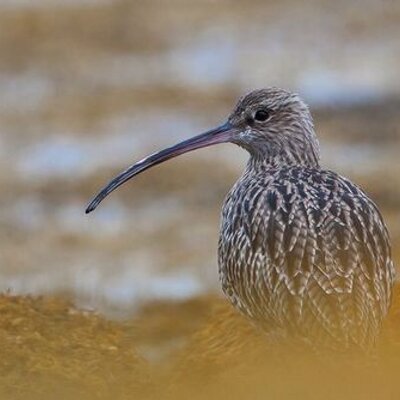 Profile Picture of George Cox (@gfcphotography) on Twitter