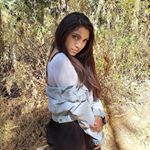 Profile Picture of Carla Gamboa (@feuerlowe_) on Instagram
