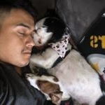 Joel Grande - Instagram Profile Picture of Joel Grande (@jgbig) on Instagram