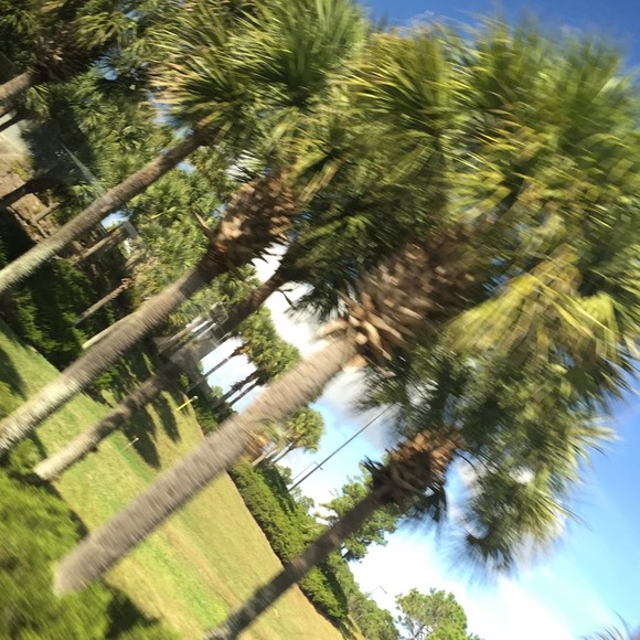 Profile Picture of Morgan Petrino (@21mpetrino) on Poshmark