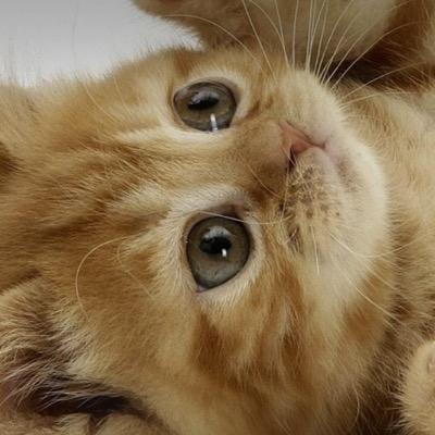 Profile Picture of Jueun Kim (@jerry_kje) on Twitter