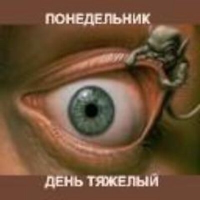 Profile Picture of Tamara Hudgins (@echekchurde) on Twitter