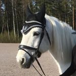 Profile Picture of Bobby_ (@loughmorpaddy_bobby) on Instagram