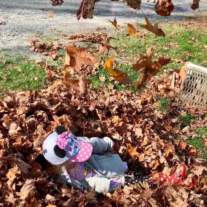 Profile Picture of Krista Downing (@kristadowning9) on Tiktok