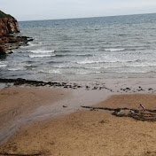 Chloe-ann Poulter - Youtube Profile Picture of Chloe-ann Poulter (@chloe-annpoulter7430) on Youtube