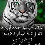 Profile Picture of Anwar Hakim (@anwar.hakim.142240) on Instagram