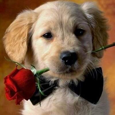 Profile Picture of Bianca Salina (@SalinaBianca) on Twitter