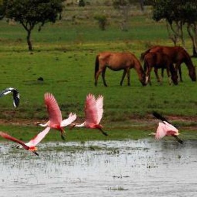 Profile Picture of Javier Arcila (@javierarcila4) on Twitter
